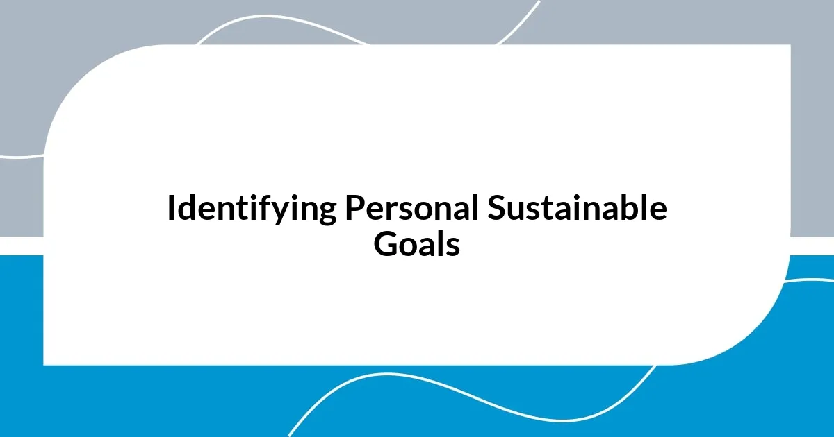 Identifying Personal Sustainable Goals