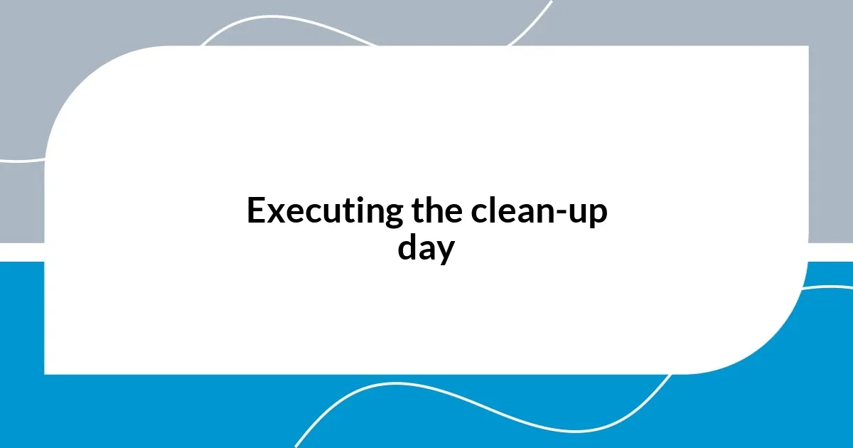 Executing the clean-up day