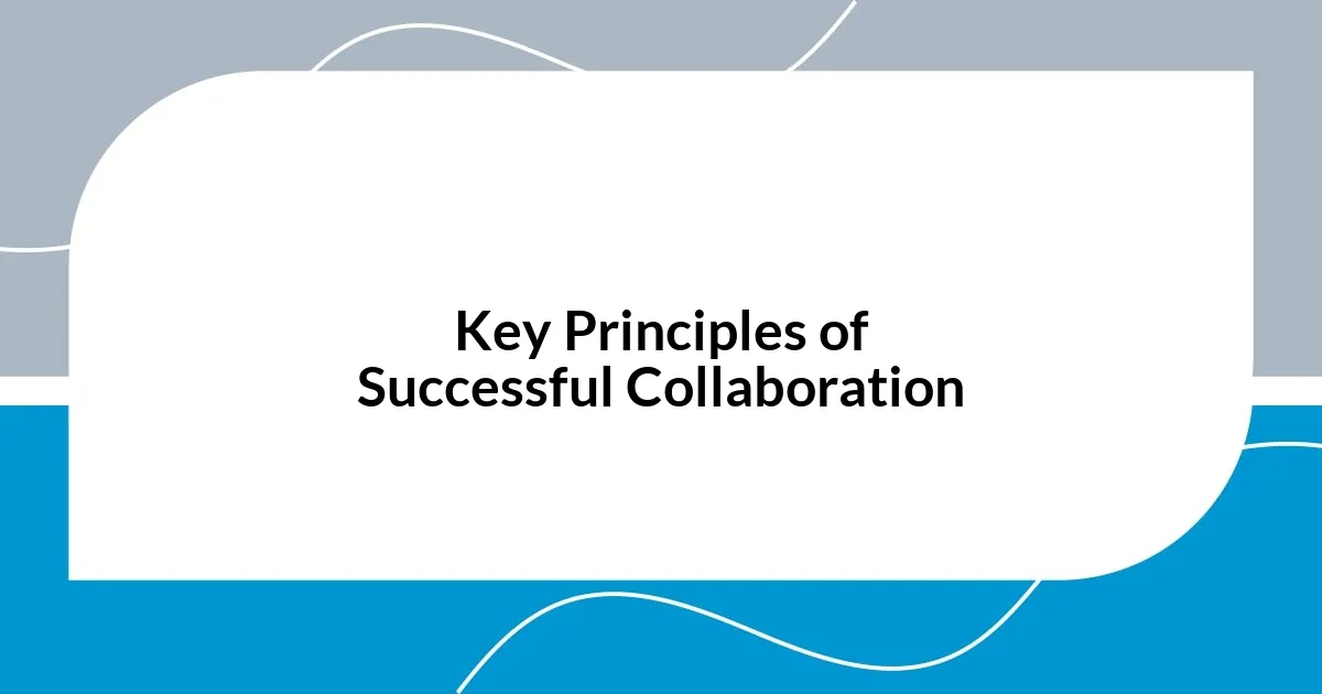 Key Principles of Successful Collaboration